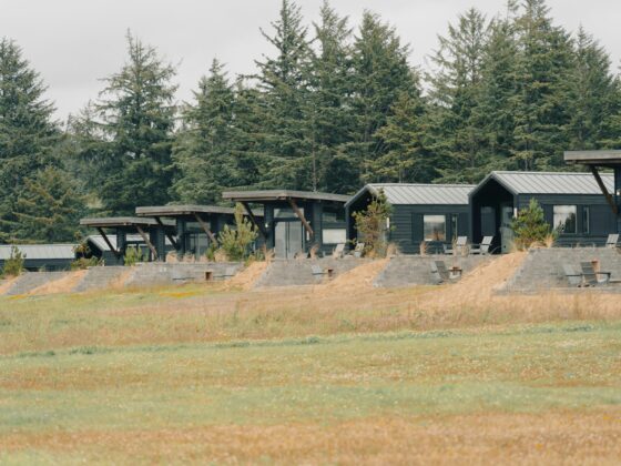 Row of dark, modern townhouses with angled roofs next to a dense evergreen forest, with a grassy field in the foreground.