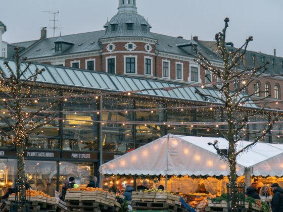 Winter market in a cobblestone square with string lights and produce stalls; a historic brick building with a domed tower in the background.