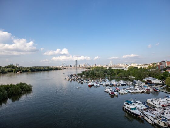 City skyline along a wide river with a busy marina of boats in the foreground under a blue sky.