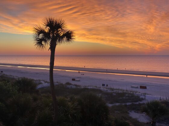 Silhouetted palm tree on a sandy beach at sunset with orange-pink sky and calm water in the background.