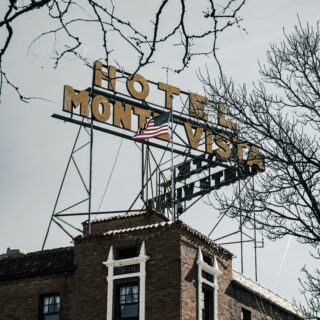 Brick hotel building with a yellow vertical sign reading 'Hotel' and a flag, framed by bare tree branches overhead in gray sky.