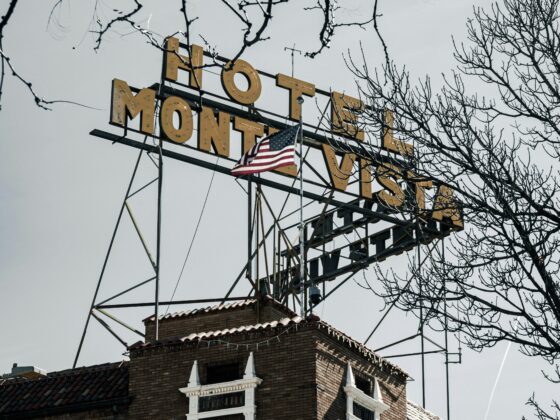 Brick hotel building with a yellow vertical sign reading 'Hotel' and a flag, framed by bare tree branches overhead in gray sky.