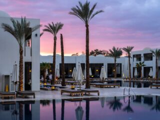 Poolside at a modern white resort during sunset, with tall palm trees and lounge chairs lining the pool edge.