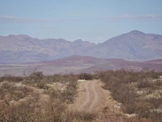 Dusty dirt road winds through an arid desert toward distant purple mountains under a blue sky.