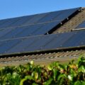 Solar panels installed on a sloped roof with a blue sky and green hedge in the foreground.
