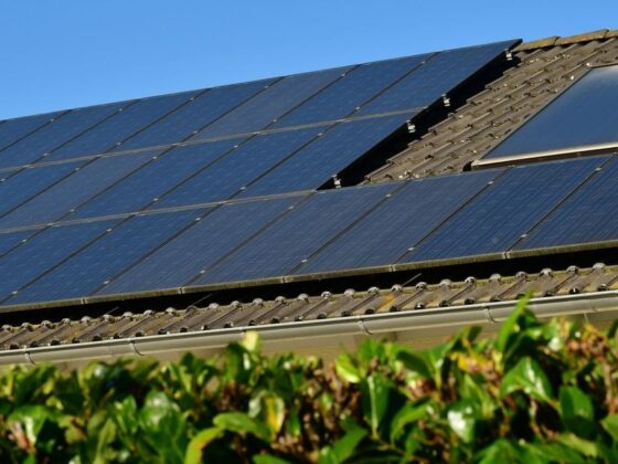 Solar panels installed on a sloped roof with a blue sky and green hedge in the foreground.