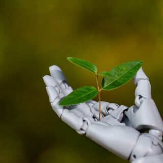 Robotic hand cupping a small green sprout against a blurred natural background.