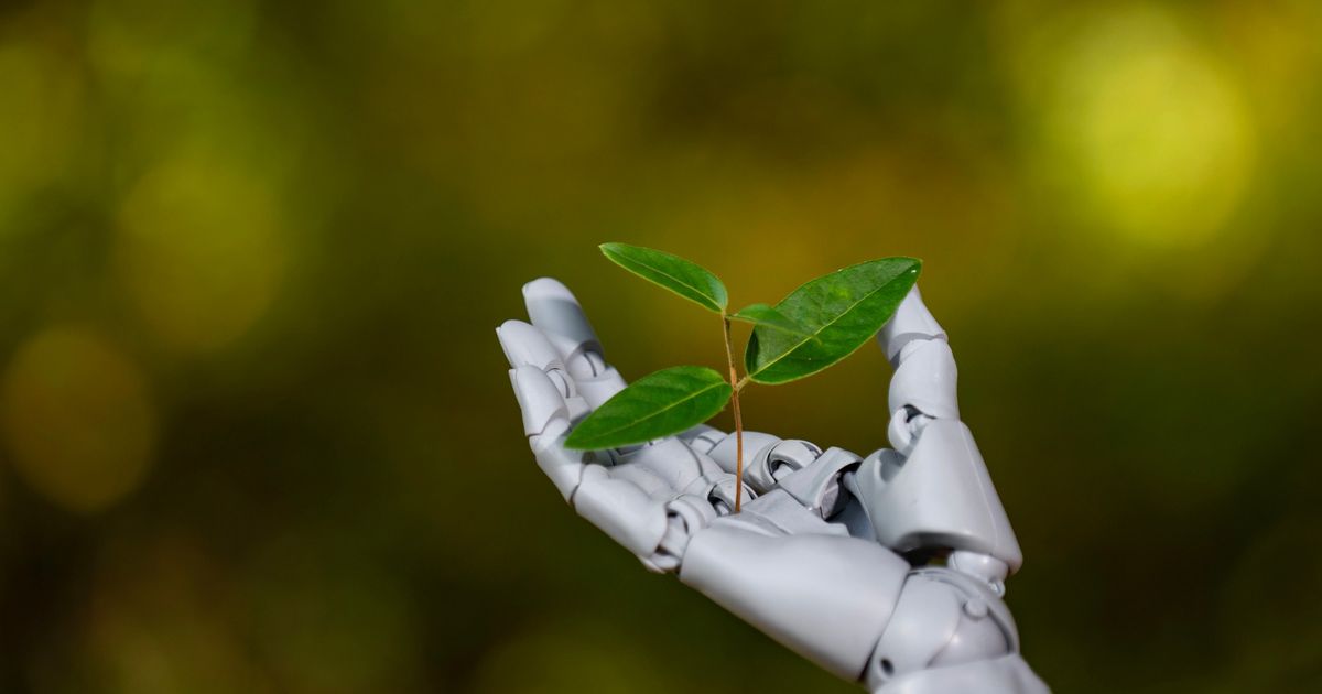 AI and Renewable Energy Drive Sustainability in Hospitality, Reducing Carbon Emissions and Operational Costs Significantly
