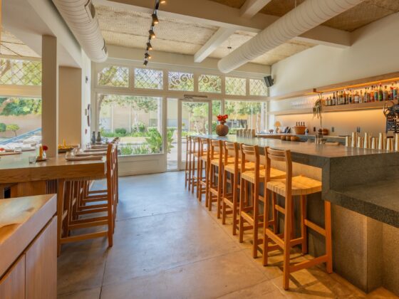 Bright bar interior with a long wooden counter, high stools, and bottles on back-lit shelves beside large windows.