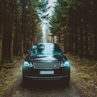 Front view of a Range Rover on a dirt forest road, flanked by tall trees on both sides.