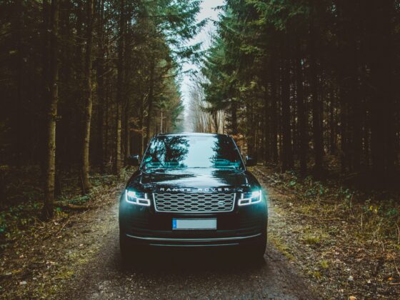 Front view of a Range Rover on a dirt forest road, flanked by tall trees on both sides.