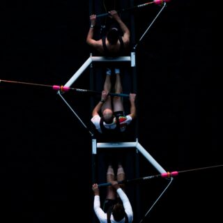 Top-down view of multiple rowers in a narrow boat, gripping oars with pink handles against a dark water background.