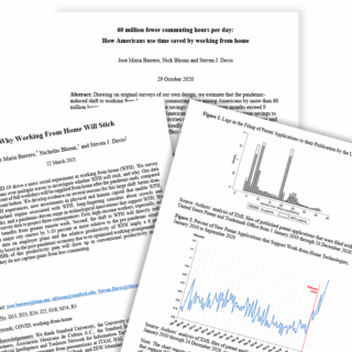 Collage of research papers on working from home, showing a title page and graphs, overlapping at angles.