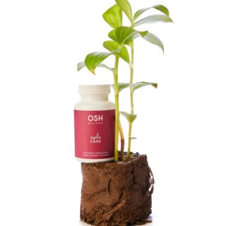 Young green plant sprouting from a soil block next to a white bottle labeled OSH Wellness Cycle Care dietary supplement