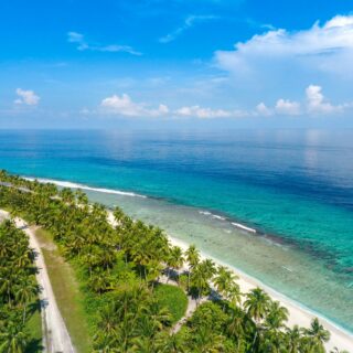 Aerial view of a tropical coastline with palm trees along a white sand beach and turquoise water under a blue sky.