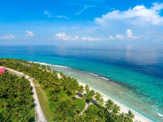 Aerial view of a tropical coastline with palm trees along a white sand beach and turquoise water under a blue sky.