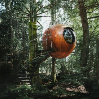 Orange spherical wooden treehouse pod suspended among evergreen trees with ropes and a wooden staircase nearby.