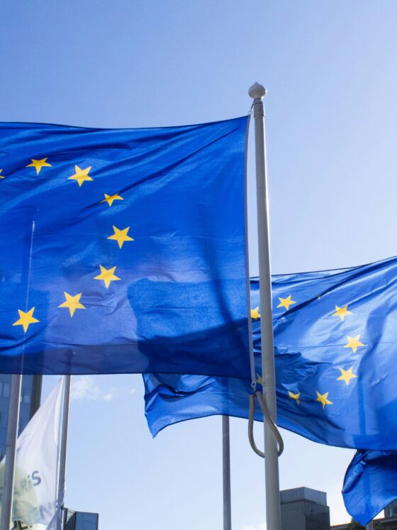 European Union flags fluttering on flagpoles against a blue sky in an urban setting