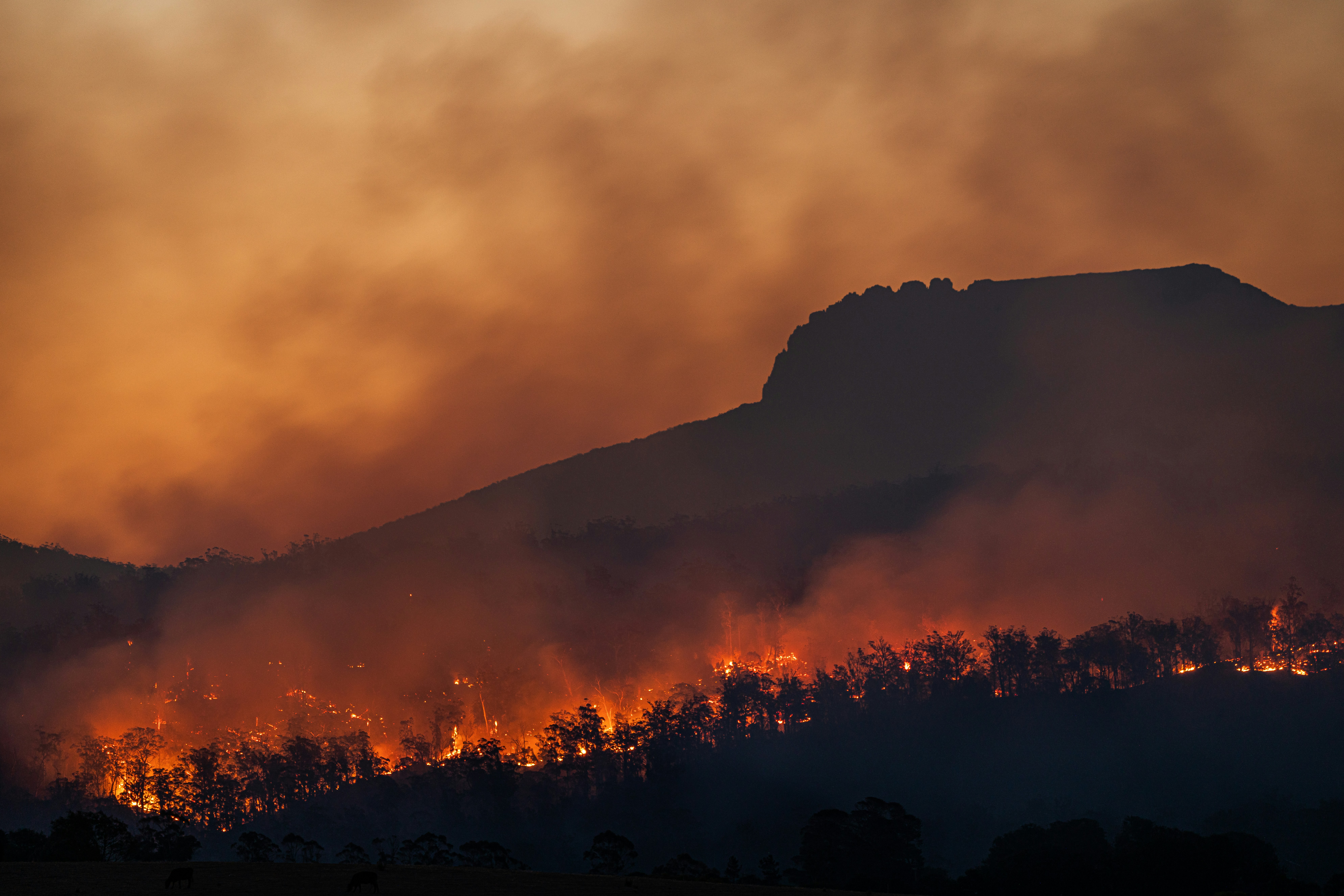 Wildfire Forces 220,000 Evacuations in Gironde, Leading to 2-5 Million Euros Weekly Revenue Loss