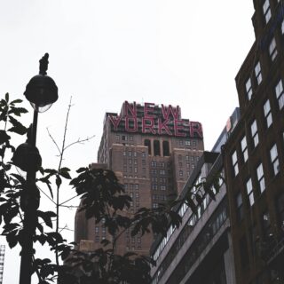 Urban street scene with a tall brick building and a red 'NEW YORKER' sign on top, lamppost in foreground, and silhouettes of leaves framing the view.