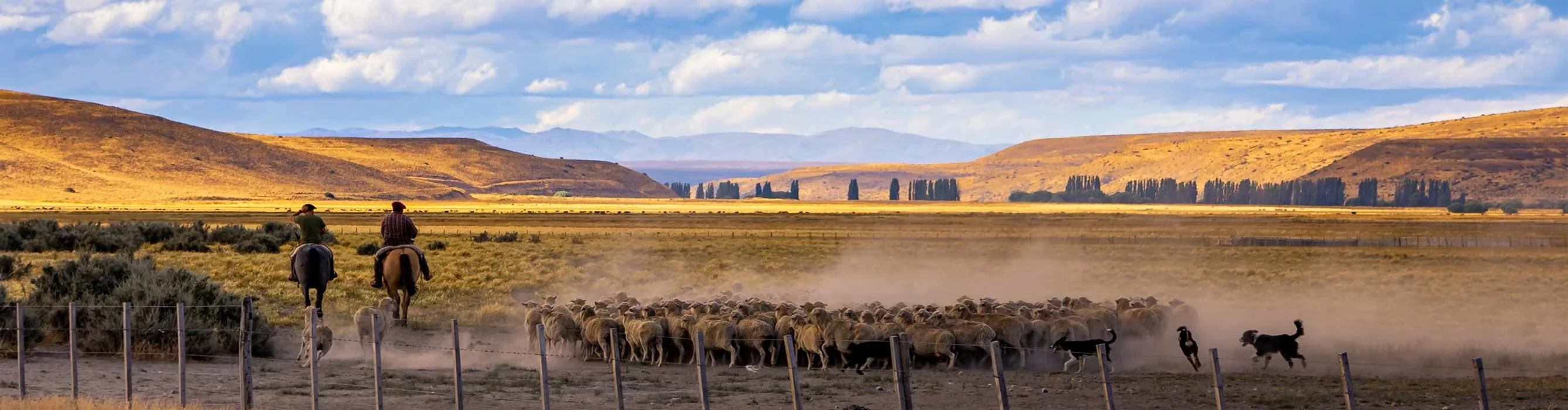 The Future of Tourism in Chilean Patagonia: Why the Next Decade Matters Now