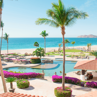 Resort pool area with palm trees, pink flowering shrubs, lounge chairs, and a turquoise sea beyond.