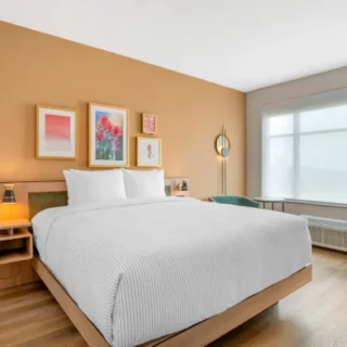King-size bed with white bedding in a bright hotel-style bedroom; orange accent wall with framed art, two nightstands, and a large window.
