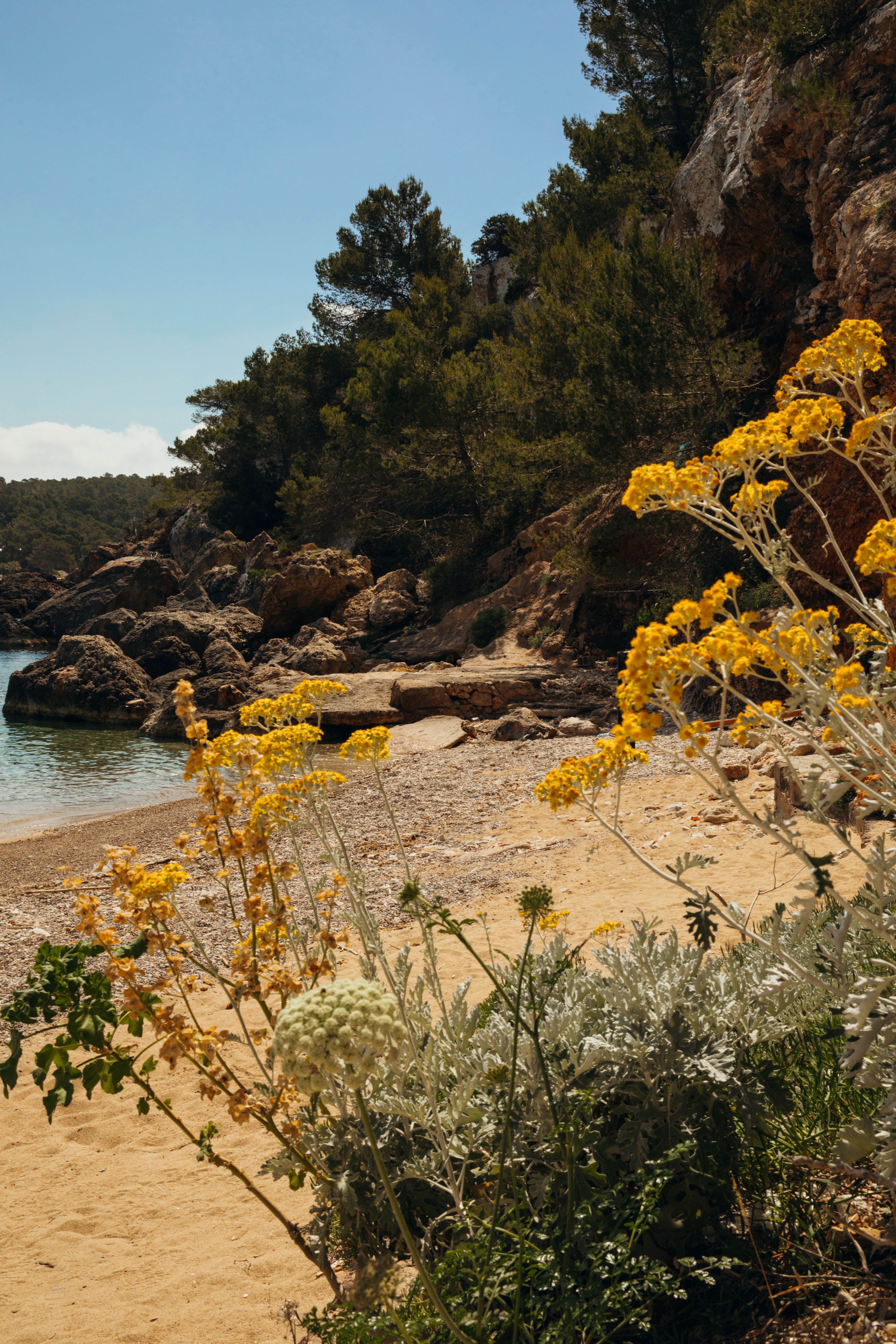 Nômade Temple Ibiza gives the island a new place of worship