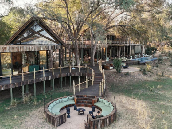 Aerial view of a woodland resort with a circular wooden lounge and teal-cushioned seating around a fire pit under trees on a sandy ground.