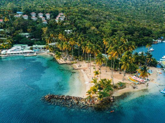 Aerial view of a tropical coastline with palm trees, sandy beach, boats, and hillside villas vs. dense greenery beneath.