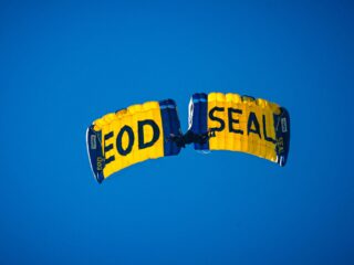 Yellow and blue parachute in a clear blue sky, with the word 'FOOD SEAL' on the panels visible from below.