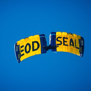Yellow and blue parachute in a clear blue sky, with the word 'FOOD SEAL' on the panels visible from below.