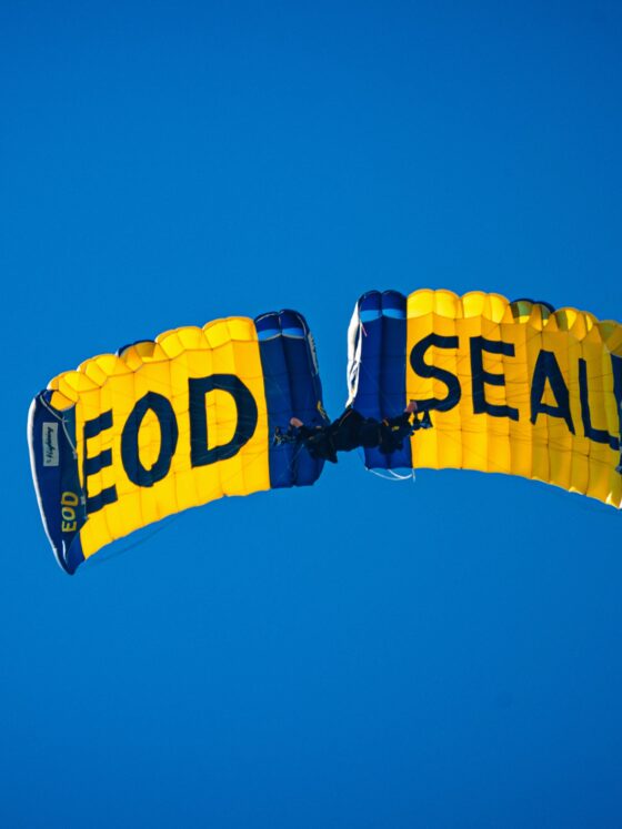 Yellow and blue parachute in a clear blue sky, with the word 'FOOD SEAL' on the panels visible from below.