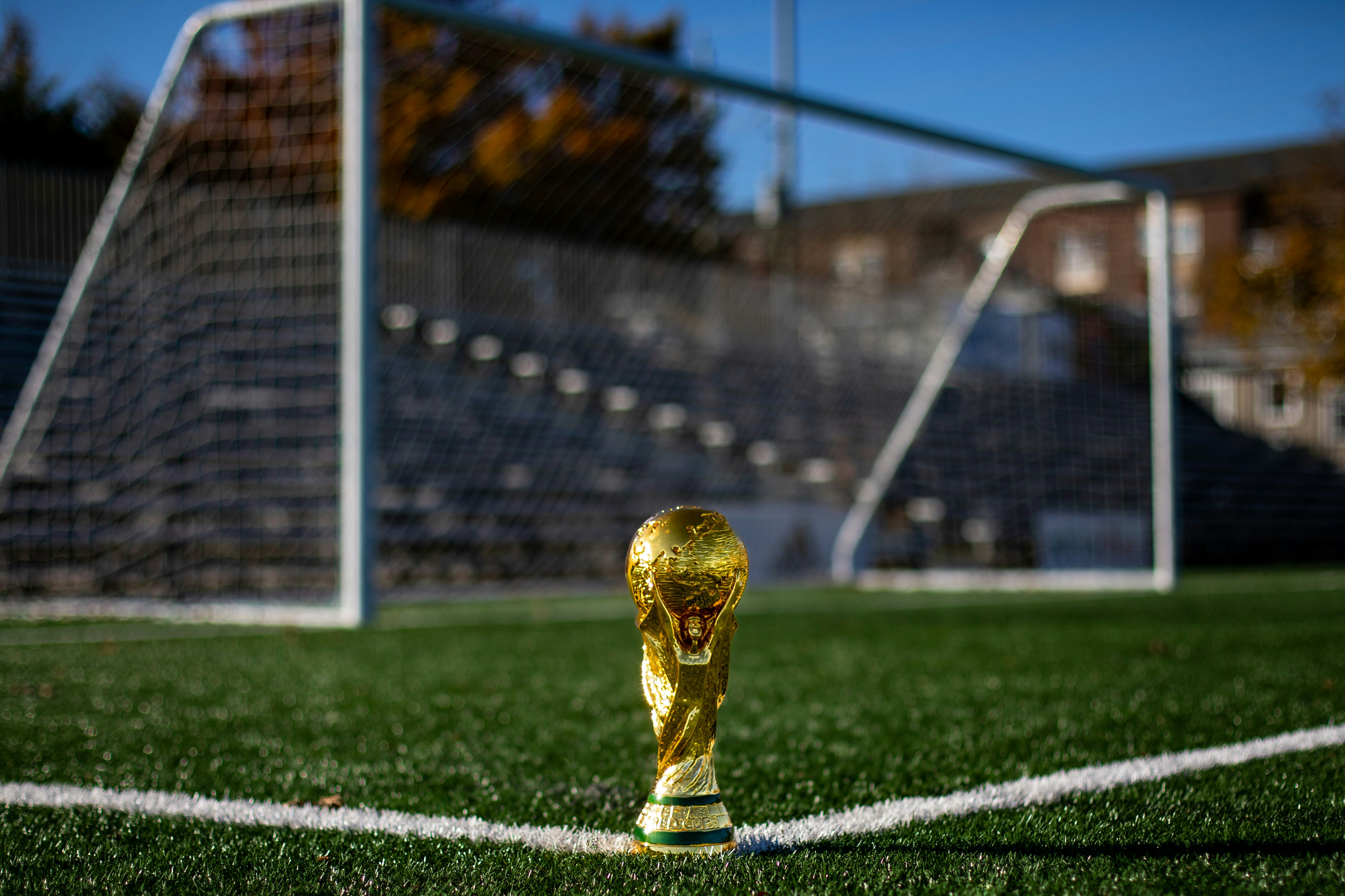From Goalkeeper to the World Cup