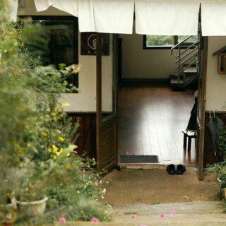 Open doorway into a hallway with a wooden staircase inside, flanked by potted plants and greenery outside the entrance, with a pair of shoes on the threshold.
