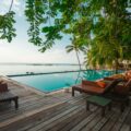 Resort pool deck with wooden planks, lounge chairs, and tropical trees, ocean in the background on a sunny day