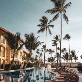 Resort poolside with tall palm trees, row of wooden lounge chairs, and orange-tinted buildings in the background.