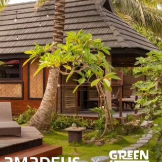 Tropical bungalow with a dark thatched roof, wooden deck, and two wicker lounge chairs amid palm trees and lush greenery.