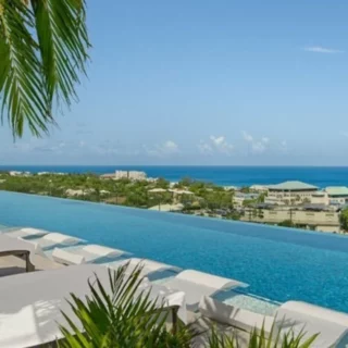 Infinity pool overlooking a tropical coastline with white loungers and palm fronds overhead.