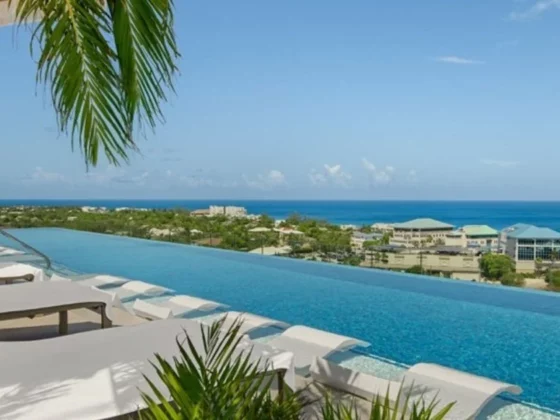 Infinity pool overlooking a tropical coastline with white loungers and palm fronds overhead.