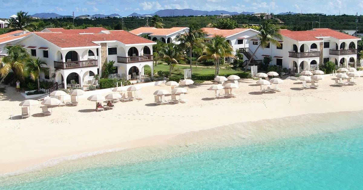 Now Now NoHo and Carimar Beach Club Adopt Dailypoint's Customer Data Platform for Enhanced Guest Experience
