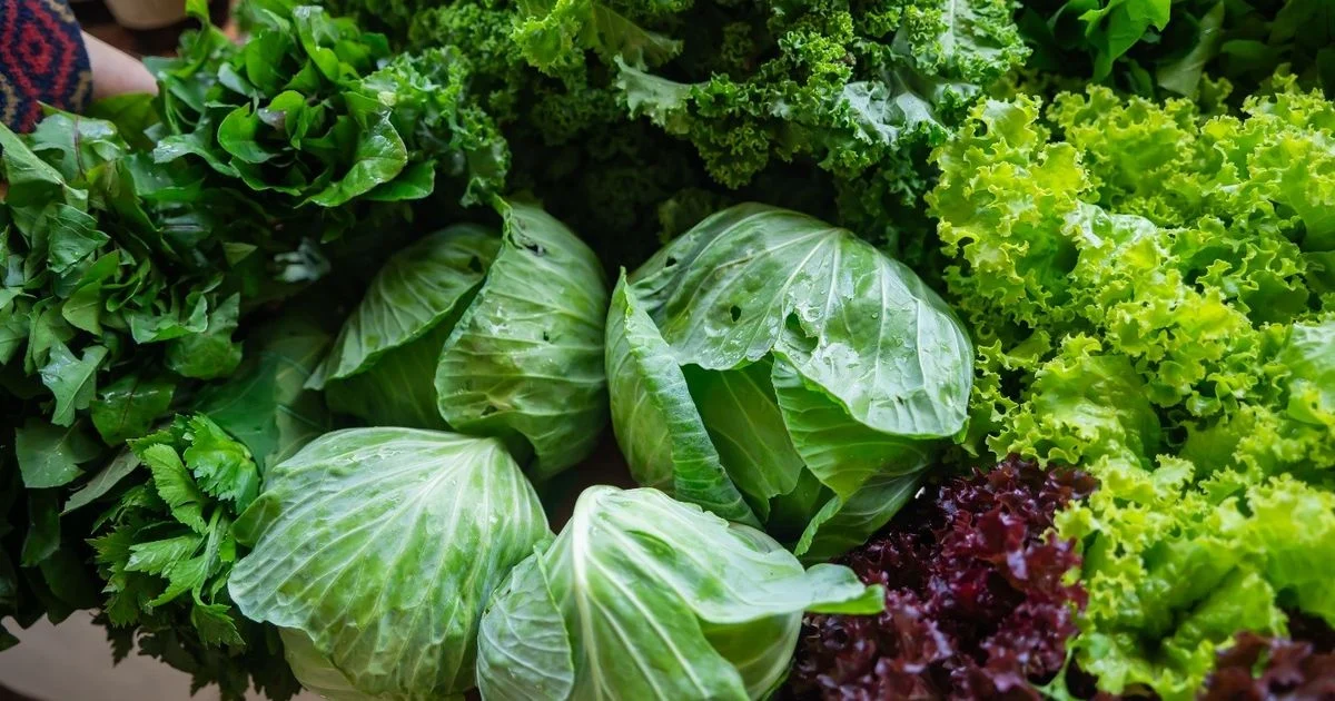 Hotel Chefs Implement Zero-Waste and Sustainable Practices to Reduce Carbon Footprint and Food Costs in 2026