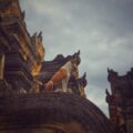 Brown and white dog standing on ancient stone temple ruins under a cloudy sky.