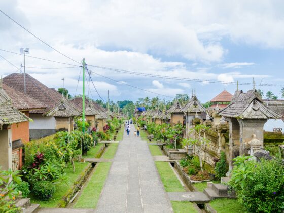 A village street with thatched-roof houses, a central pedestrian path, and tropical plants on either side under a cloudy blue sky.
