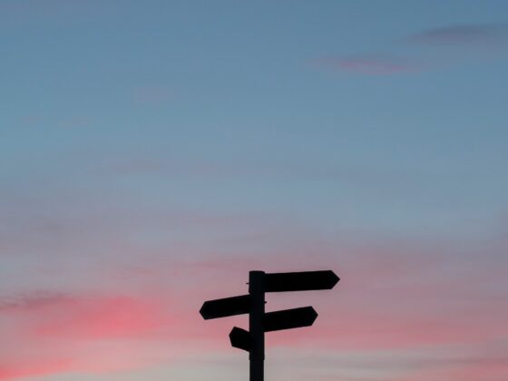 Silhouette of a multi-arrow signpost against a pink and blue sunset sky with clouds.