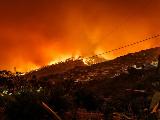 Nighttime hillside wildfire burning through vegetation above a town, with an orange sky and power lines in the foreground.