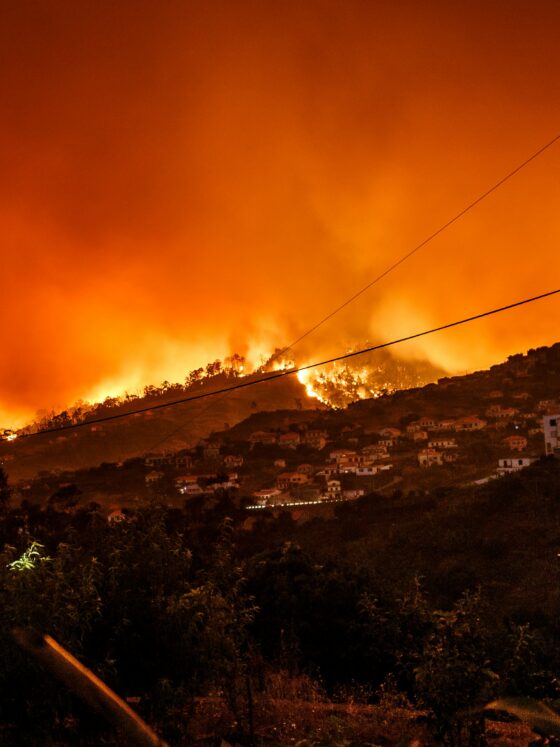 Nighttime hillside wildfire burning through vegetation above a town, with an orange sky and power lines in the foreground.
