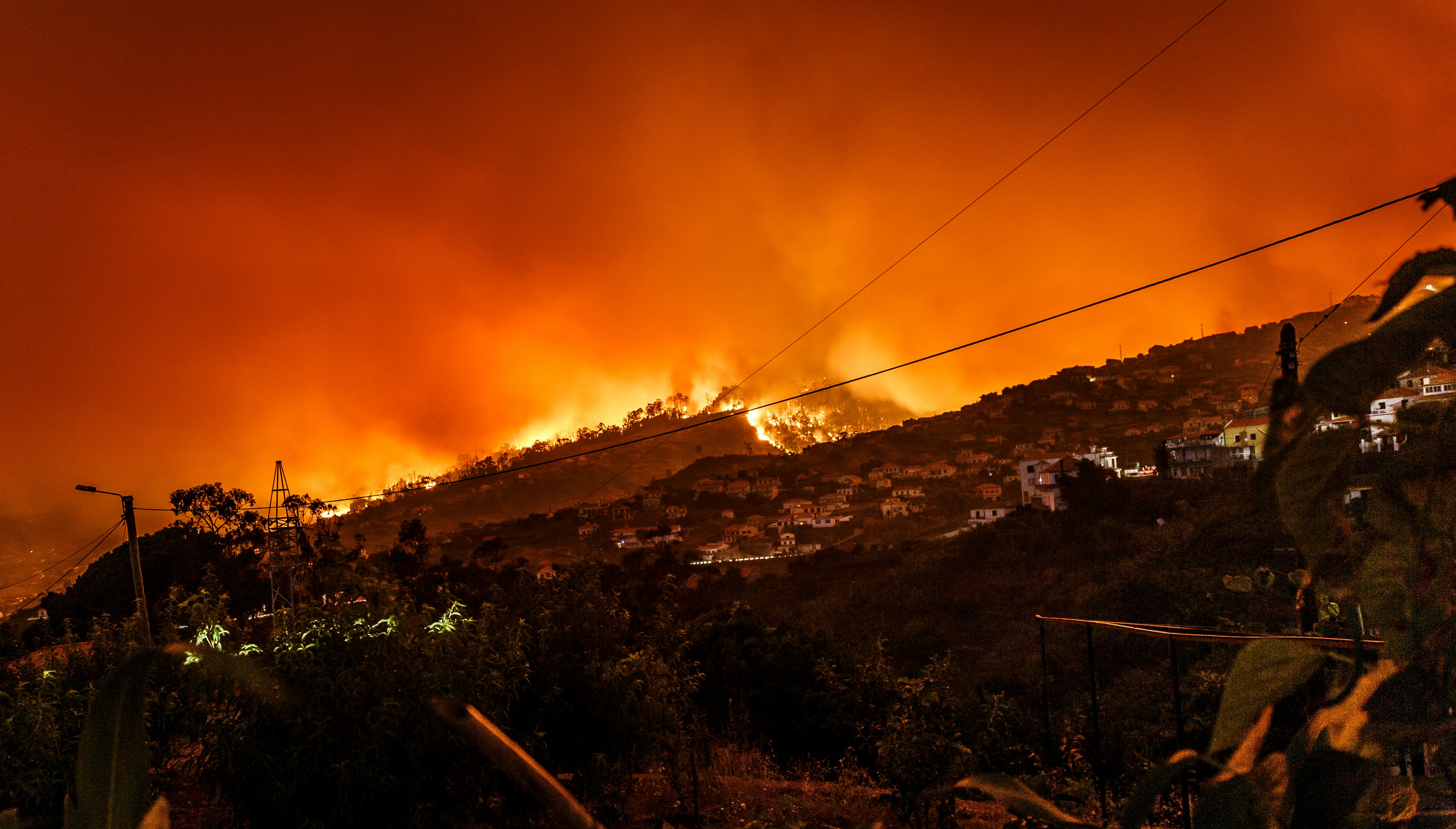 Wildfires in Gironde Trigger Hotel Cancellations, Causing Weekly Revenue Losses of 2-5 Million Euros
