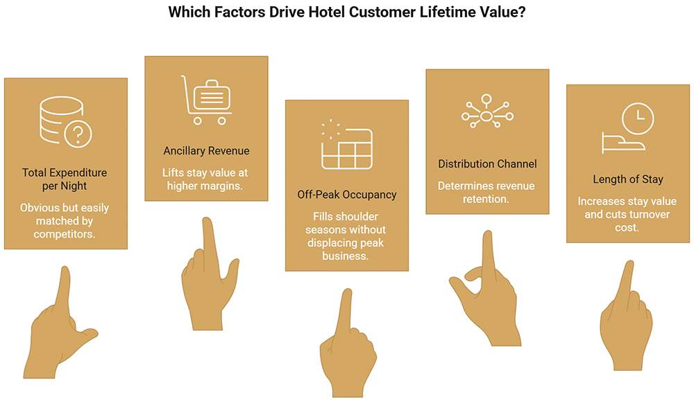 Customer Lifetime Value (CLV) in Hotels Beyond Booking Revenue