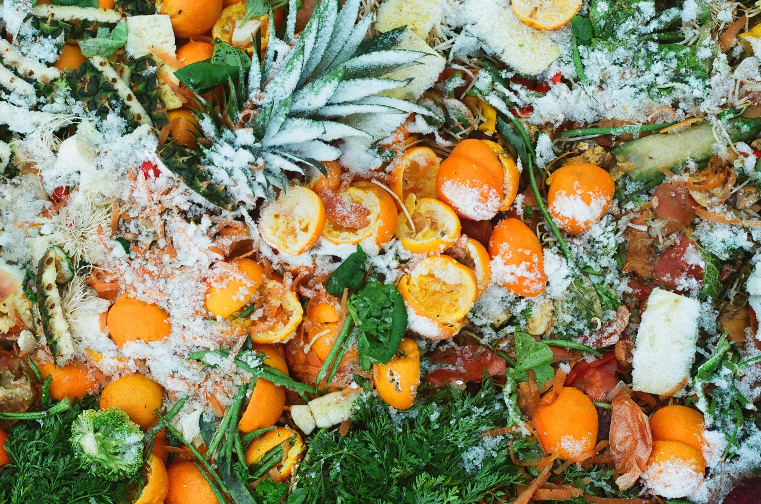 Swiss Restaurant Saves 129,600 Swiss Francs Annually by Reducing Food Waste Through Staff Engagement and Data Analysis